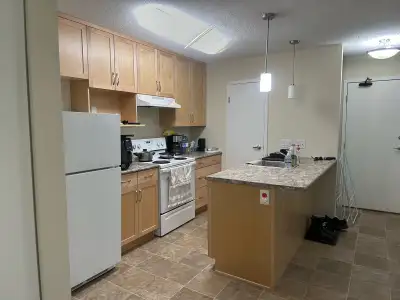 1-Bedroom Apartment for Sublet