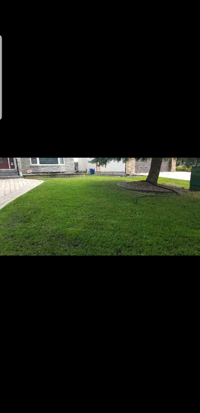 GRASS CUTTING SOUTH WINNIPEG - since 1995 in Lawn, Tree Maintenance & Eavestrough in Winnipeg - Image 3