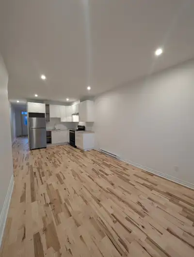 Bonjour! Situé sur la rue Théodore, près d'Ontario, nous louons un appartement 3 1/2 nouvellement ré...
