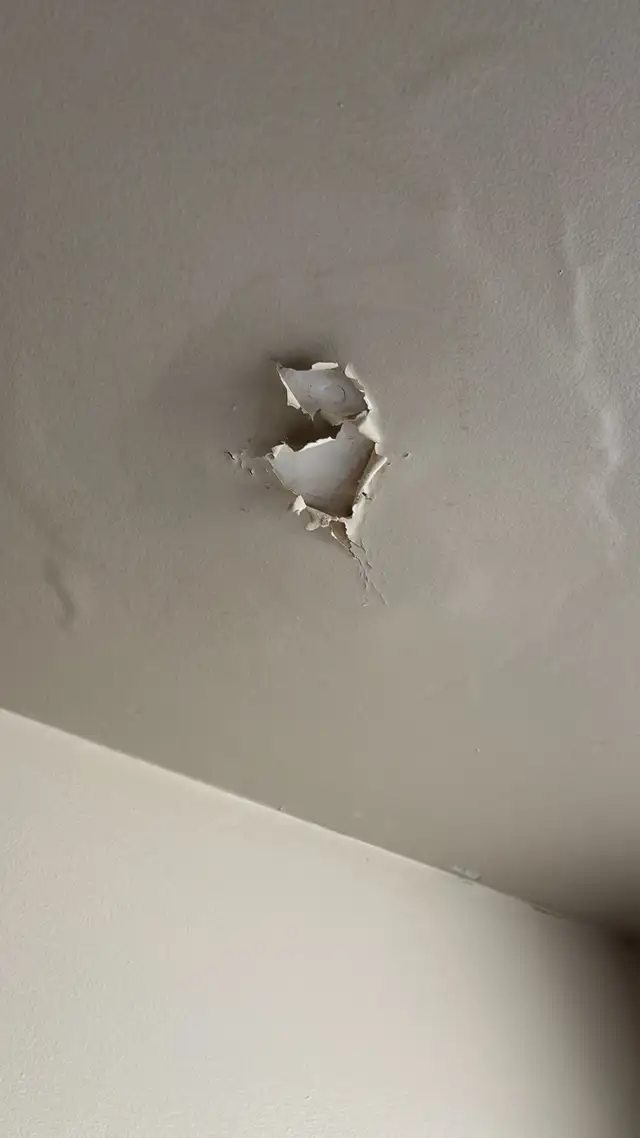 Painting & Drywall Repair in Painters & Painting in Edmonton - Image 7