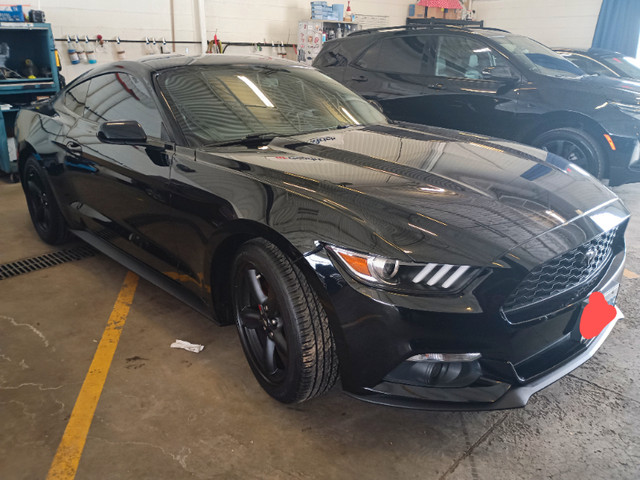 Mustang V6 2017 in Cars & Trucks in Kitchener / Waterloo