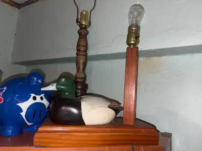 Duck Lamp glass eyes, View more