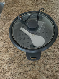 Brand new rice cooker