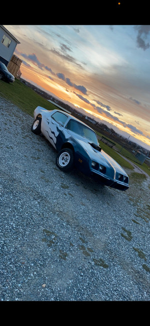 1981 Pontiac Firebird