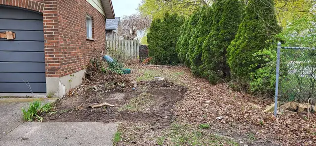 Tree Services64840195713410123