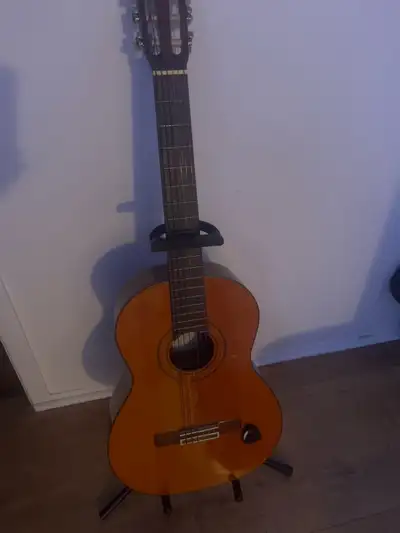 Guitare Aria, View more