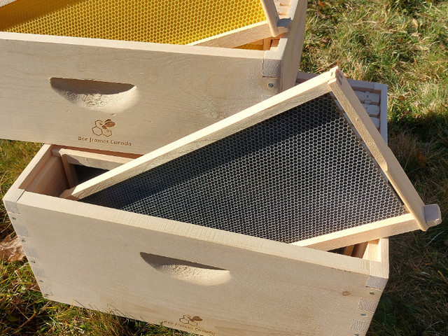 Cadres de ruche assemblés avec fondation, paquet de 10 dans Loisirs et artisanat  à Lévis