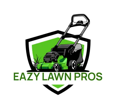 Spring Cleanup Special  Fast, Affordable & Professional, View more