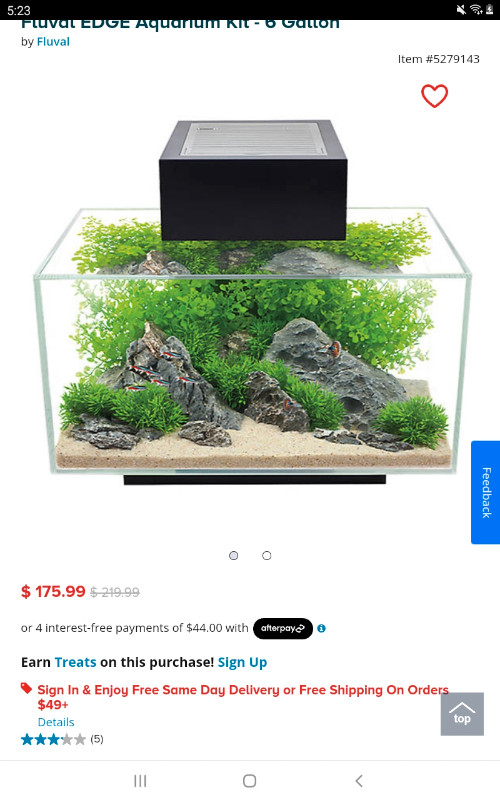 Many small aquariums for sale price in description. in Fish for Rehoming in Saint John - Image 4