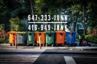 Vanity business junk/bins rental company 647-333-JUNK VIP PHONE 