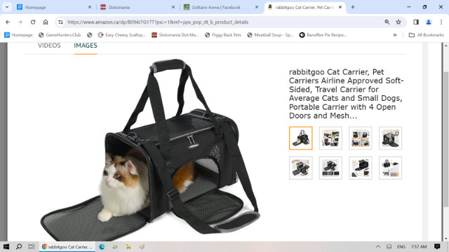 Small Pet Carrier in Accessories in Bridgewater