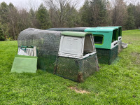 Small chicken coop