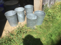 NEW PRICE Galvanized Maple Sap Collection Buckets