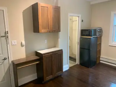 We have a room/bachelor for rent with an ensuite washroom and a kitchette. The room is very large at...