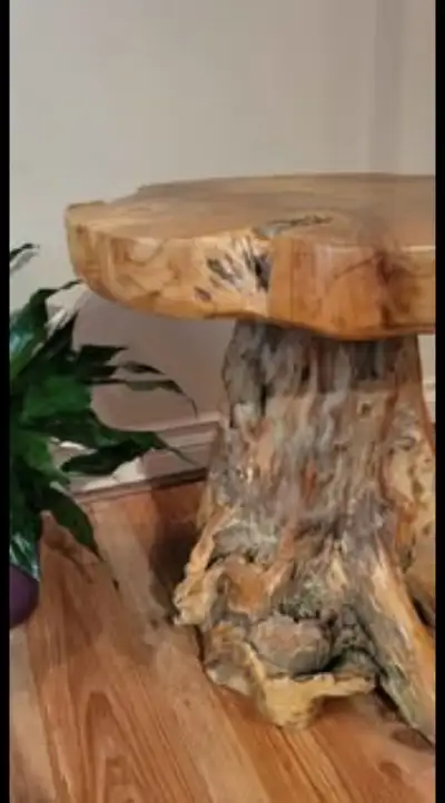 Stunning Indonesian Teak Root Side Table, View more