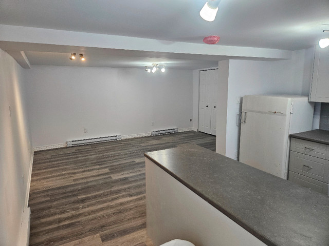 Logement NEUF 2 chambres in Long Term Rentals in Gatineau - Image 3