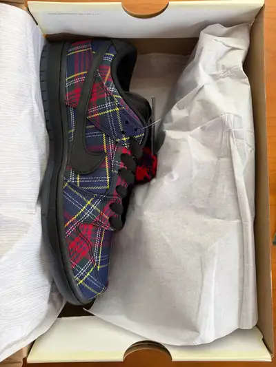 NIKESB x Nardwuar Dunk Size 10, View more