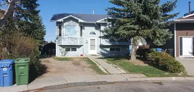 Clean & Peaceful Basement Rooms for Rent – Fallingworth Bay NE (Calgary) Looking for a quiet, clean,...