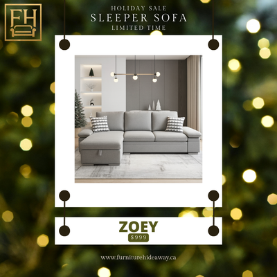 Both Zoey & Roxy Sleeper Sofas are now $999 each!✨, View more
