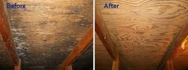 Asbestos and mold remediation - Mississauga / Peel Region in Renovations, General Contracting & Handyman in Mississauga / Peel Region - Image 2