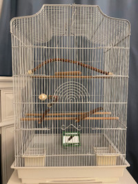 Large Bird Cage With Accessories