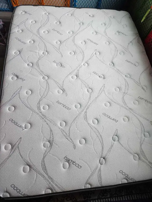 Matresses in Beds & Mattresses in Delta/Surrey/Langley - Image 2