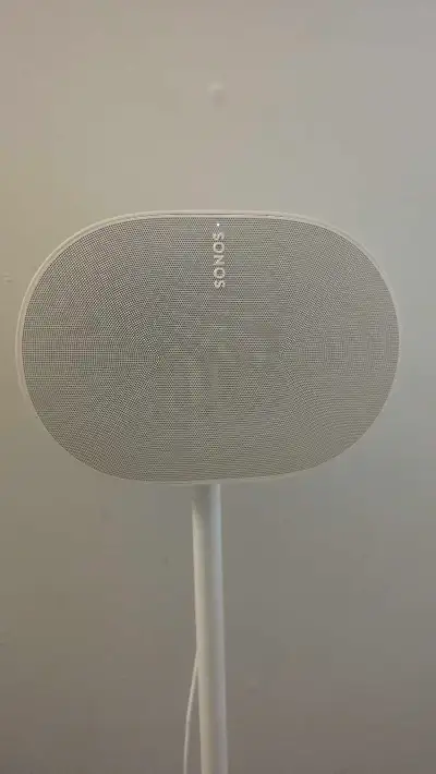 Sonos Era 300 Speaker with 2 Premium Floor Stands - Priced, View more