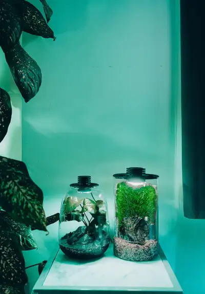 Biolark Terrarium, View more