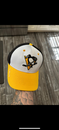 Pittsburgh Penguins Hat