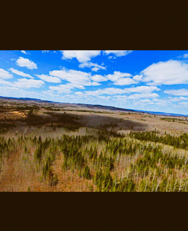 46 acre building lot 15 minutes to Thunder Bay - power of sale  in Land for Sale in Timmins - Image 2