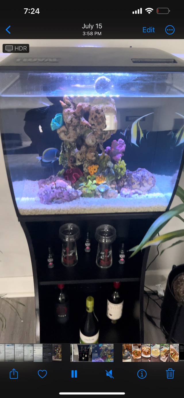 Fluval flex 15 gallon all in one tank and stand | Fish for Rehoming | St.  Catharines | Kijiji