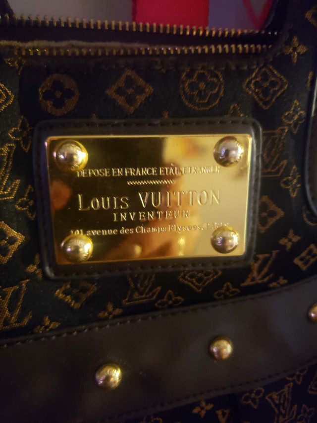 Louis Viton purse  in Other in Edmonton