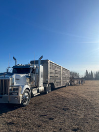 Cattle hauling / pasture moves 