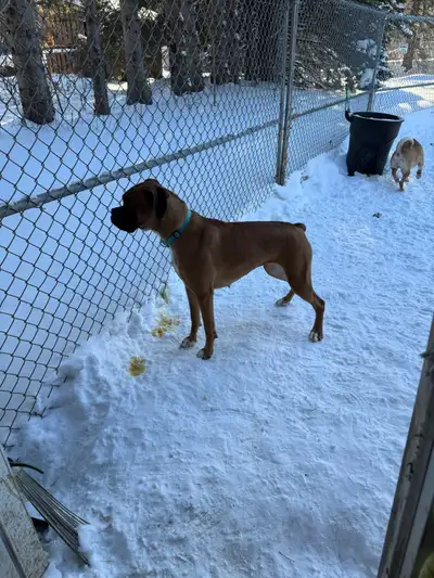 Kesha  Med size, View more