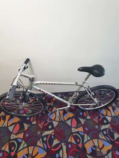 Raleigh Bicycle, View more