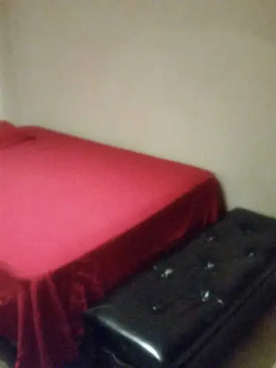 I am pleased to offer a cosy bachelor's basement room for rent. Available from March 1st, 2026. The...