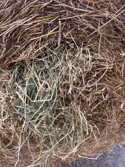 Hay for sale , View more