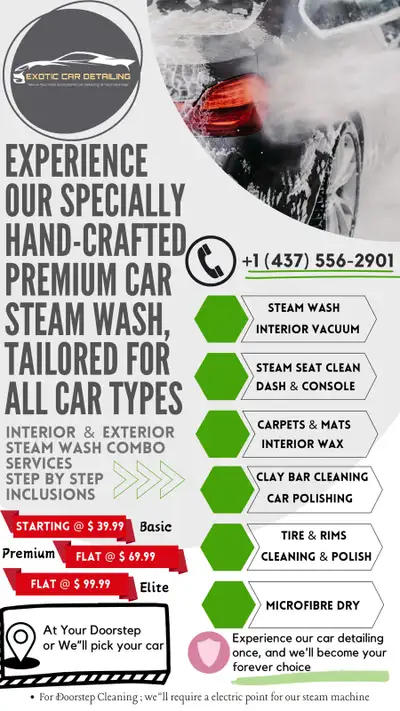 Home Interior Exterior Steam Car Wash With 10 different parameters that makes your car shine like a...