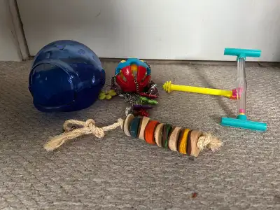 Birds accessories, View more