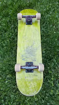 Blank Complete Skateboard