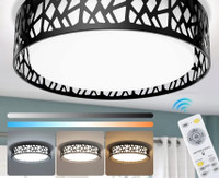 Modern Ceiling Light with Remote, 35W Dimmable Flush Mount Led C