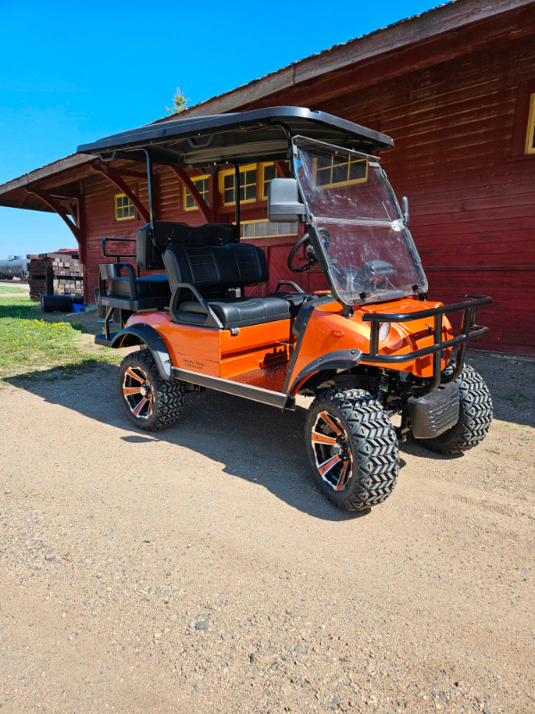 Golf Cart Spring Savings and Layaway Plans in Other in Saskatoon - Image 4