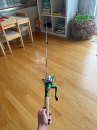  Brand new fishing rod, green, and silver with  white line