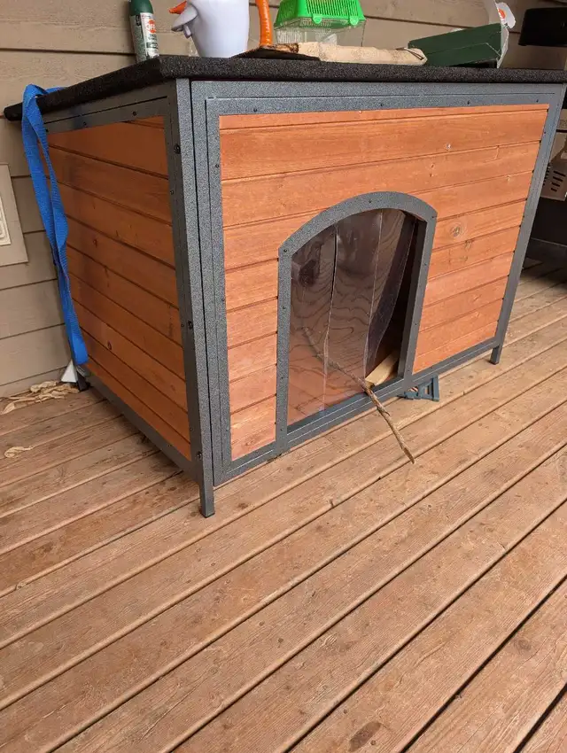 brand new dog house  in Animal & Pet Services in Moncton - Image 5