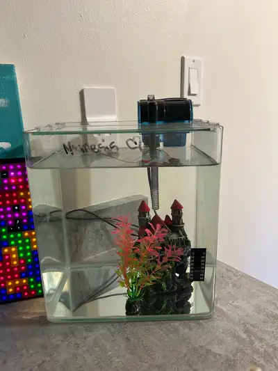 fish tank, used once. Comes with filter, fake plant, and miniature castle.