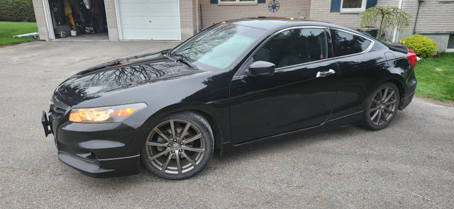 2011 Accord Coupe HFP. in Cars & Trucks in Brockville - Image 3