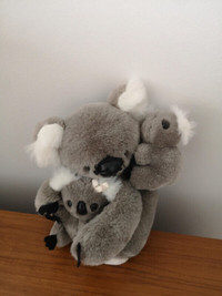 Ours Koala - Maman avec les deux bebes