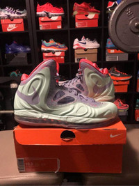 Brand new Nike hyperposites size 10.5 mens 