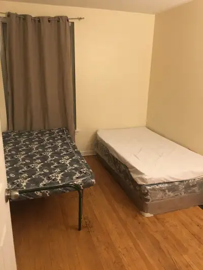 Need girl students for room in a 4 bedrooms Upper Floor house. -New International Students are welco...