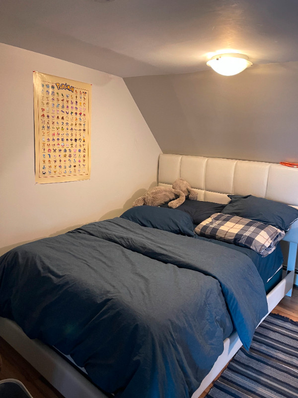 Private room for rent-Halifax South End: steps from SMU and DAL. in Room Rentals & Roommates in City of Halifax - Image 3